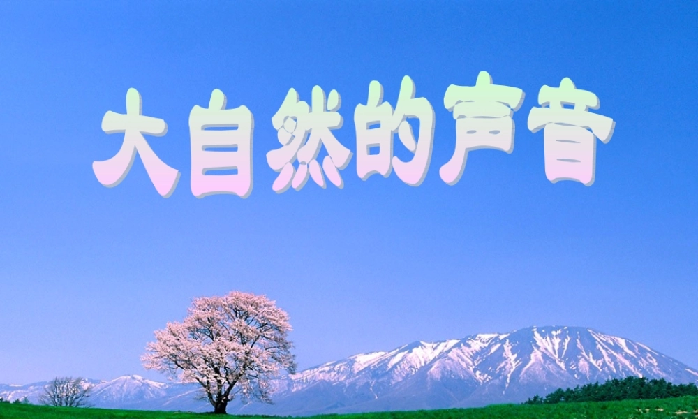 三年级语文上册 第三单元 大自然的声音课件5 鄂教版-鄂教版小学三年级上册语文课件