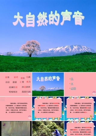 三年级语文上册 第三单元 大自然的声音课件5 鄂教版-鄂教版小学三年级上册语文课件