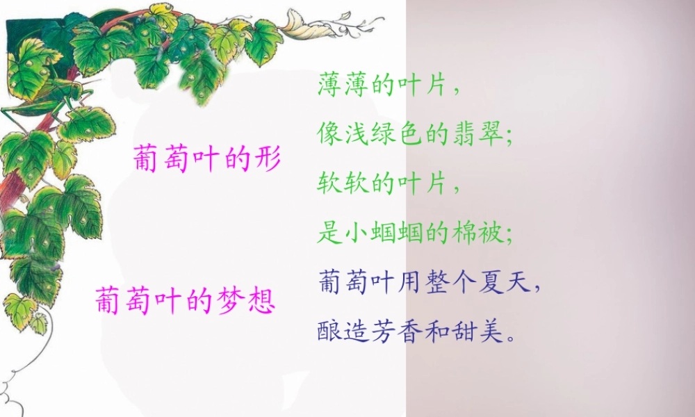 三年级语文上册《葡萄叶的梦》课件3 语文A版-语文A版小学三年级上册语文课件