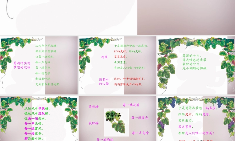 三年级语文上册《葡萄叶的梦》课件3 语文A版-语文A版小学三年级上册语文课件