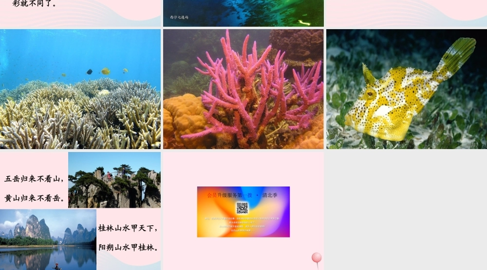 三年级语文上册 第五单元 18《富饶的西沙群岛》参考课件 鲁教版-鲁教版小学三年级上册语文课件