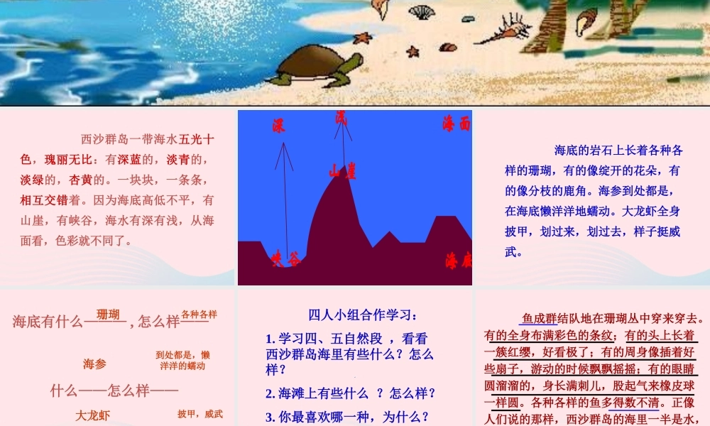 三年级语文上册 第五单元 18《富饶的西沙群岛》教学课件 鲁教版-鲁教版小学三年级上册语文课件