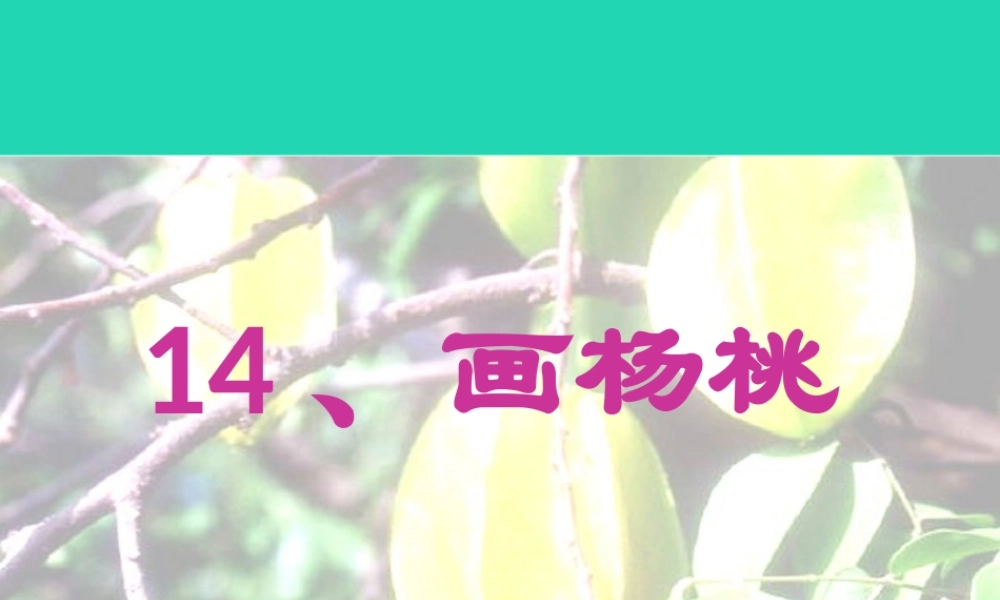 三年级语文上册 第四单元 14画杨桃课件 冀教版-冀教版小学三年级上册语文课件