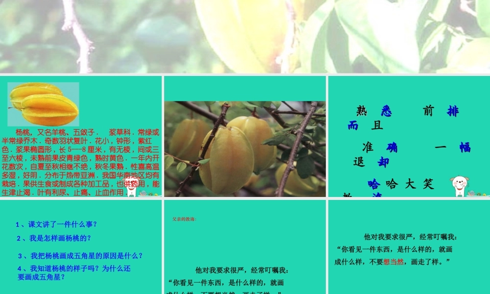 三年级语文上册 第四单元 14画杨桃课件 冀教版-冀教版小学三年级上册语文课件