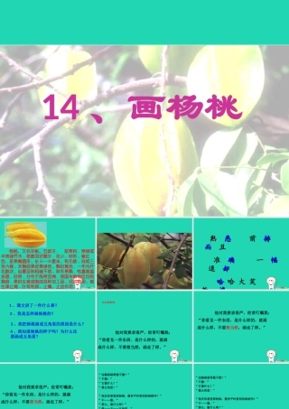 三年级语文上册 第四单元 14画杨桃课件 冀教版-冀教版小学三年级上册语文课件
