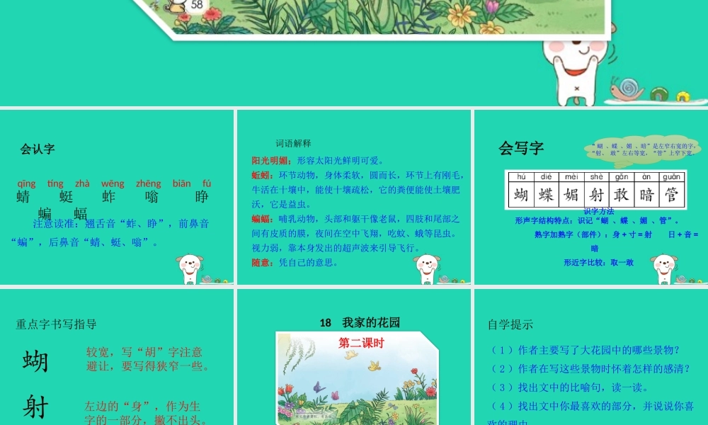 三年级语文上册 第六单元 18 我家的大花园课件 鄂教版-鄂教版小学三年级上册语文课件