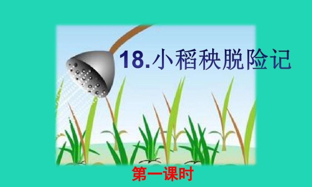 三年级语文上册 第六单元 18 小稻秧脱险记（第1课时）课件 苏教版-苏教版小学三年级上册语文课件
