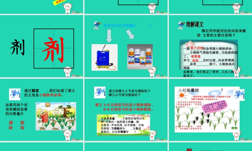 三年级语文上册 第六单元 18 小稻秧脱险记（第1课时）课件 苏教版-苏教版小学三年级上册语文课件