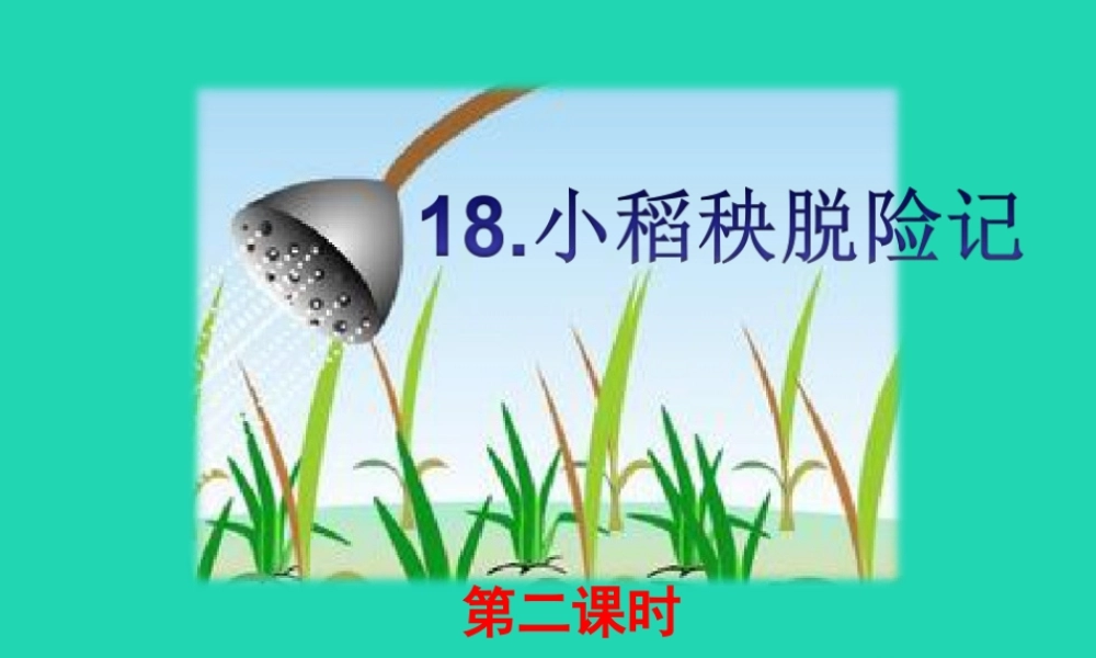 三年级语文上册 第六单元 18 小稻秧脱险记（第2课时）课件 苏教版-苏教版小学三年级上册语文课件