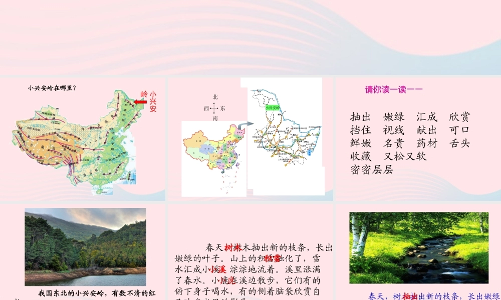 三年级语文上册 第五单元 19《美丽的小兴安岭》参考课件 鲁教版-鲁教版小学三年级上册语文课件