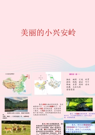 三年级语文上册 第五单元 19《美丽的小兴安岭》参考课件 鲁教版-鲁教版小学三年级上册语文课件
