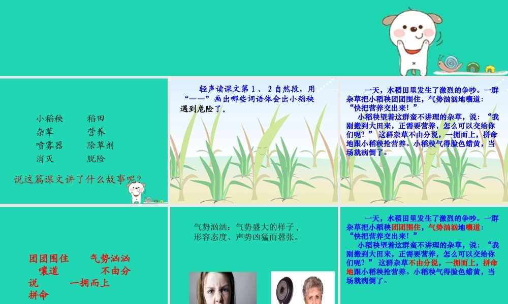 三年级语文上册 第六单元 18 小稻秧脱险记课件 苏教版-苏教版小学三年级上册语文课件