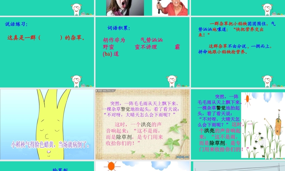 三年级语文上册 第六单元 18 小稻秧脱险记课件 苏教版-苏教版小学三年级上册语文课件