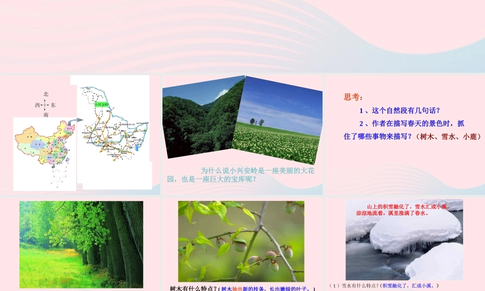 三年级语文上册 第五单元 19《美丽的小兴安岭》教学课件 鲁教版-鲁教版小学三年级上册语文课件