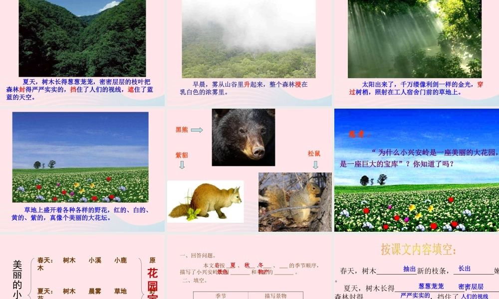 三年级语文上册 第五单元 19《美丽的小兴安岭》教学课件 鲁教版-鲁教版小学三年级上册语文课件