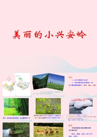 三年级语文上册 第五单元 19《美丽的小兴安岭》教学课件 鲁教版-鲁教版小学三年级上册语文课件