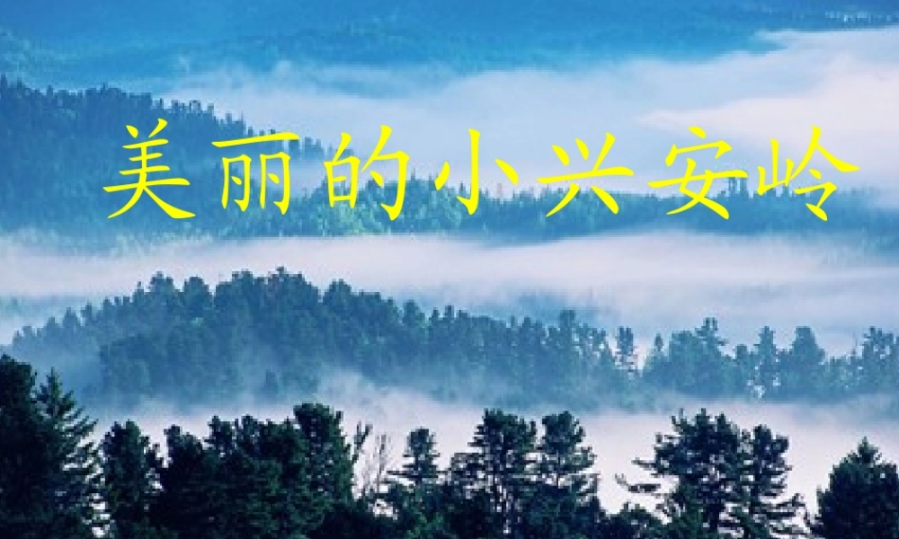 三年级语文上册 第五单元 19《美丽的小兴安岭》课件 鲁教版-鲁教版小学三年级上册语文课件