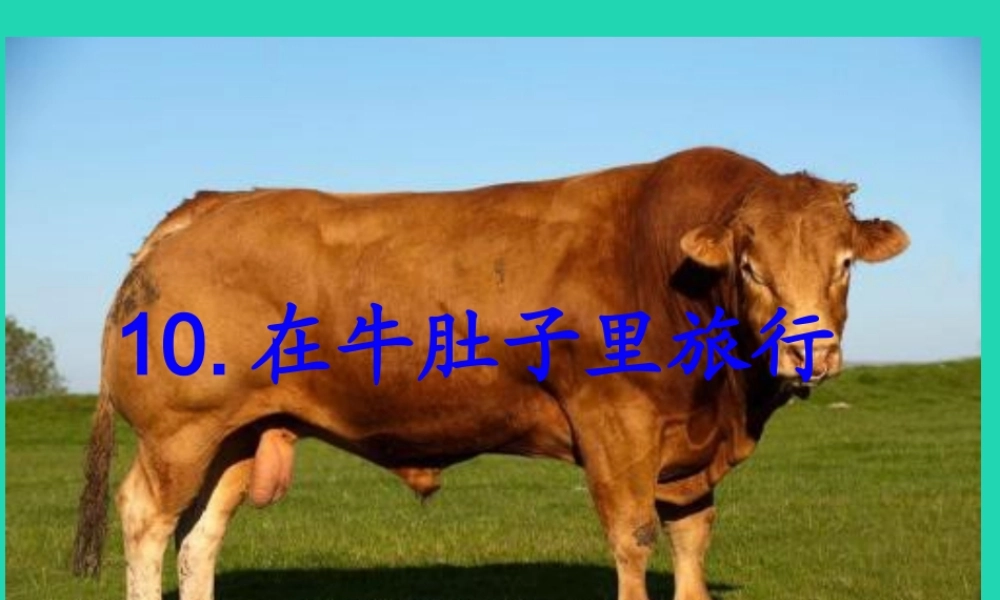 三年级语文上册 第三单元 第10课 在牛肚子里旅行课件4 新人教版-新人教版小学三年级上册语文课件