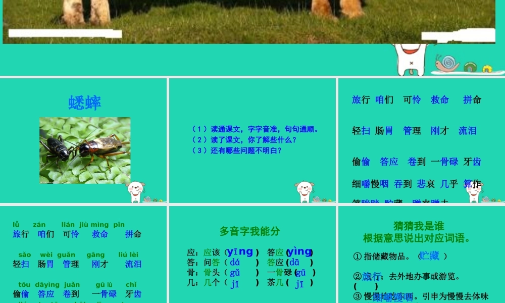 三年级语文上册 第三单元 第10课 在牛肚子里旅行课件4 新人教版-新人教版小学三年级上册语文课件