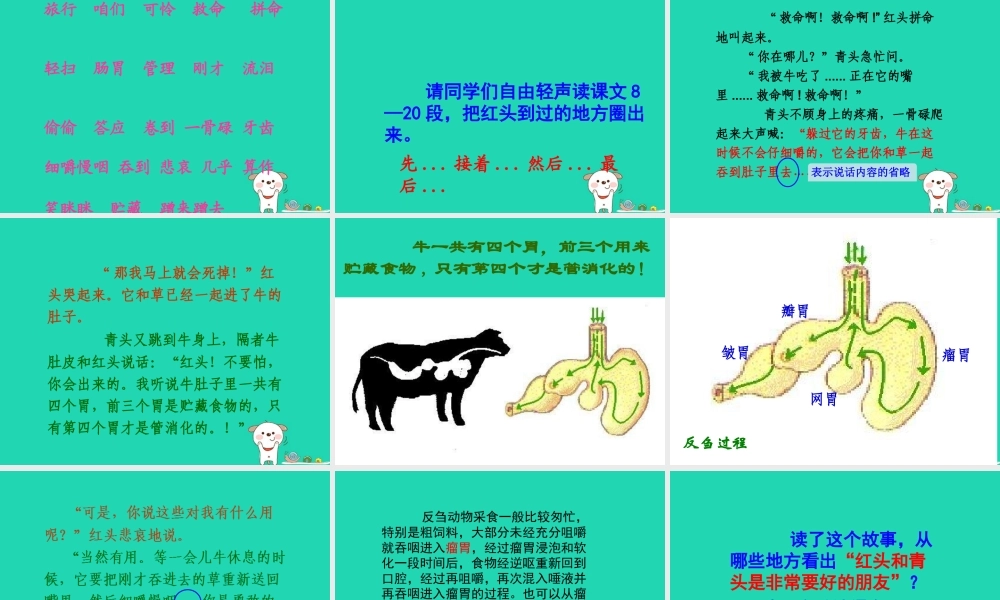 三年级语文上册 第三单元 第10课 在牛肚子里旅行课件4 新人教版-新人教版小学三年级上册语文课件