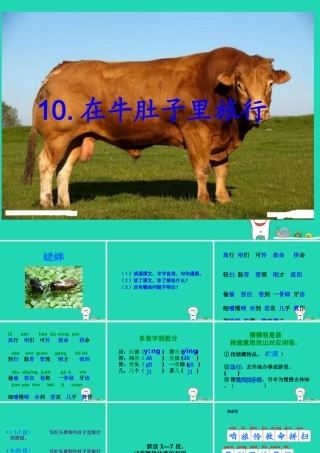 三年级语文上册 第三单元 第10课 在牛肚子里旅行课件4 新人教版-新人教版小学三年级上册语文课件