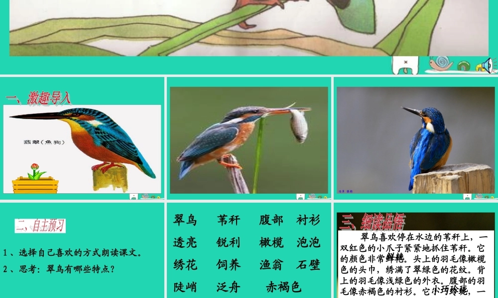 三年级语文上册 第三单元 第11课《翠鸟》课件1 语文S版-语文S版小学三年级上册语文课件
