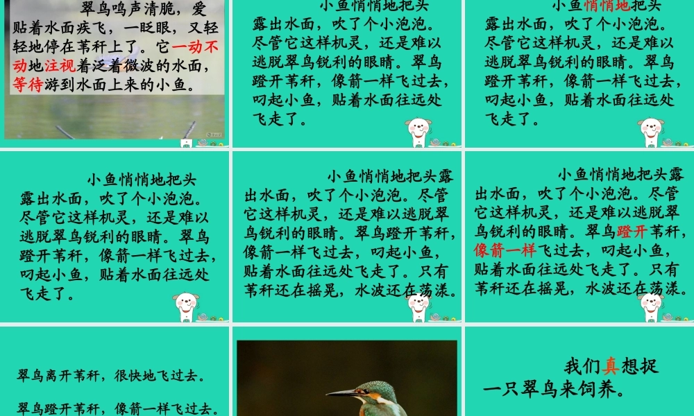 三年级语文上册 第三单元 第11课《翠鸟》课件1 语文S版-语文S版小学三年级上册语文课件