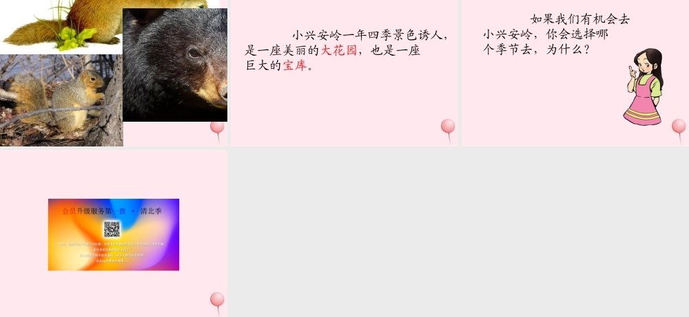 三年级语文上册 第五单元 19《美丽的小兴安岭》同步课件 鲁教版-鲁教版小学三年级上册语文课件