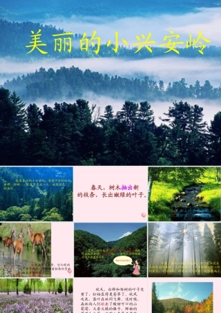 三年级语文上册 第五单元 19《美丽的小兴安岭》同步课件 鲁教版-鲁教版小学三年级上册语文课件