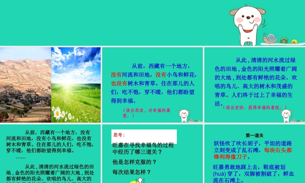 三年级语文上册 第五单元 19幸福鸟课件 冀教版