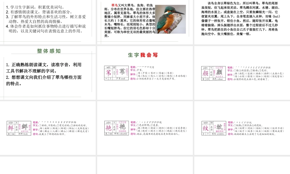 三年级语文上册 第三单元 第11课《翠鸟》课件2 语文S版-语文S版小学三年级上册语文课件