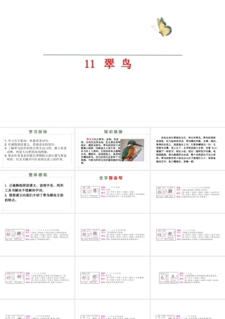 三年级语文上册 第三单元 第11课《翠鸟》课件2 语文S版-语文S版小学三年级上册语文课件
