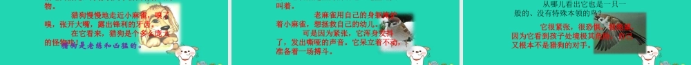 三年级语文上册 第四单元 17 猎人笔记教学课件 北京版-北京版小学三年级上册语文课件