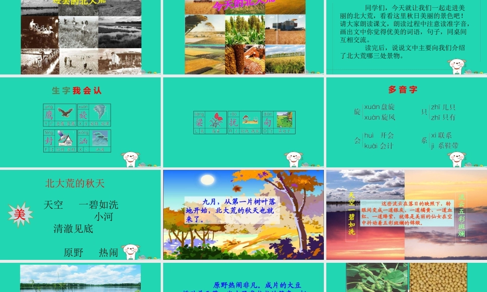 三年级语文上册 第三单元 第12课《北大荒的秋天》课件 语文S版-语文S版小学三年级上册语文课件