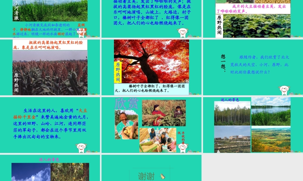 三年级语文上册 第三单元 第12课《北大荒的秋天》课件 语文S版-语文S版小学三年级上册语文课件