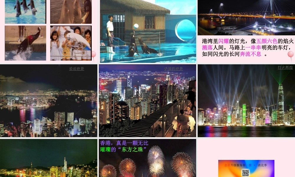 三年级语文上册 第五单元 20《东方之珠》课件1 鲁教版-鲁教版小学三年级上册语文课件