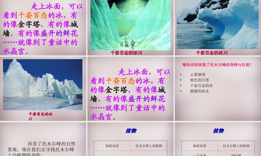 三年级语文上册《天山的托木尔峰》课件1 语文A版-语文A版小学三年级上册语文课件