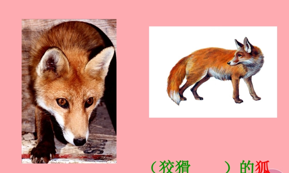 三年级语文上册 第三单元 狐假虎威课件3 湘教版-湘教版小学三年级上册语文课件