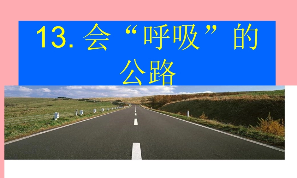 三年级语文上册 第三单元 会“呼吸”的公路课件1 西师大版-西师大版小学三年级上册语文课件