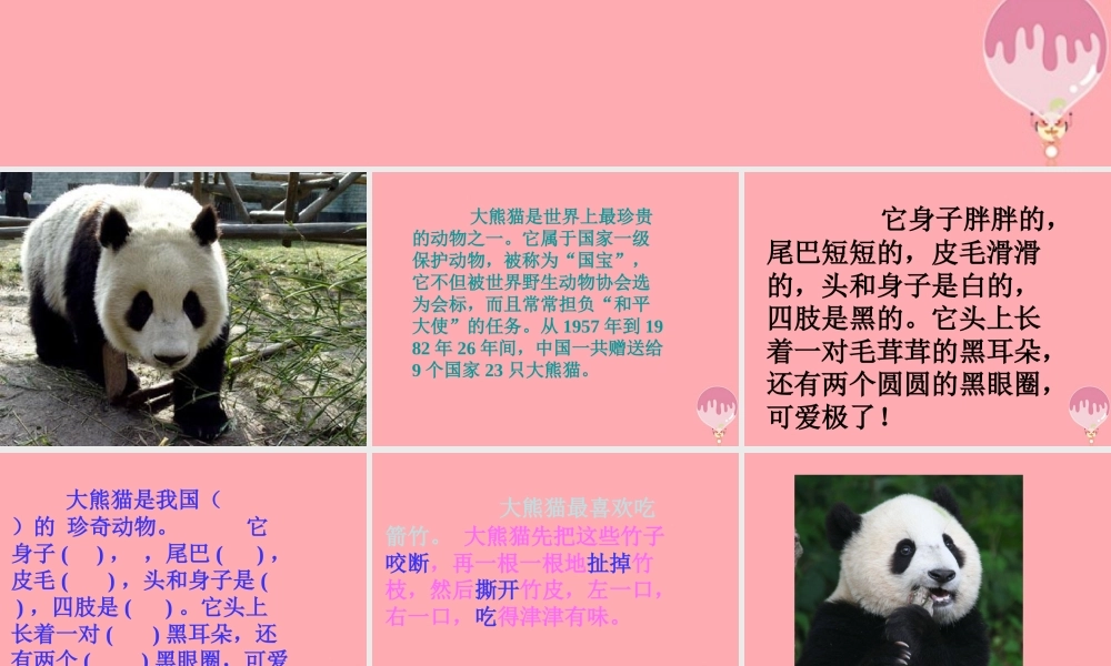 三年级语文上册 第三单元 可爱的大熊猫课件1 西师大版-西师大版小学三年级上册语文课件