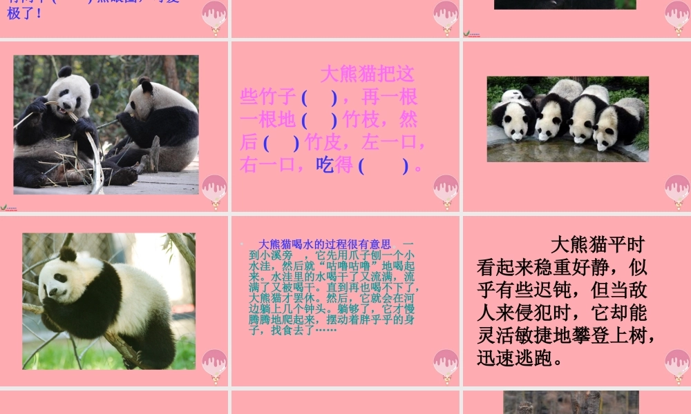 三年级语文上册 第三单元 可爱的大熊猫课件1 西师大版-西师大版小学三年级上册语文课件