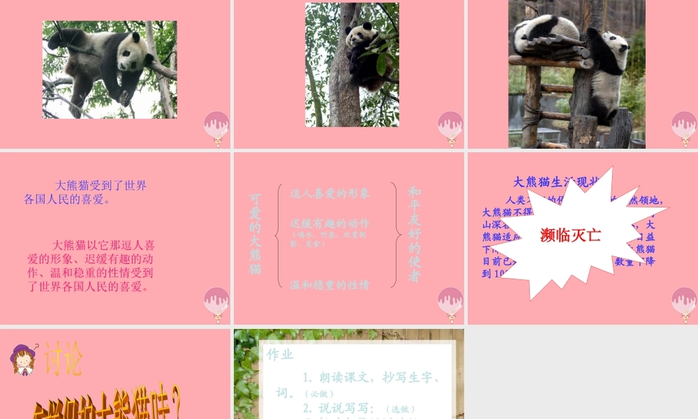 三年级语文上册 第三单元 可爱的大熊猫课件1 西师大版-西师大版小学三年级上册语文课件