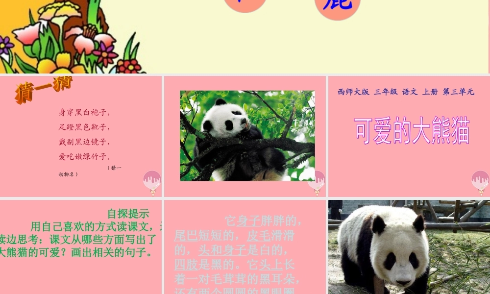三年级语文上册 第三单元 可爱的大熊猫课件2 西师大版-西师大版小学三年级上册语文课件