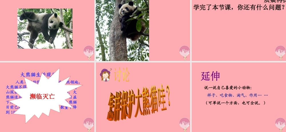 三年级语文上册 第三单元 可爱的大熊猫课件2 西师大版-西师大版小学三年级上册语文课件