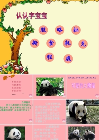 三年级语文上册 第三单元 可爱的大熊猫课件2 西师大版-西师大版小学三年级上册语文课件