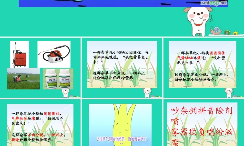 三年级语文上册 第六单元 18《小稻秧脱险记》课件 苏教版-苏教版小学三年级上册语文课件