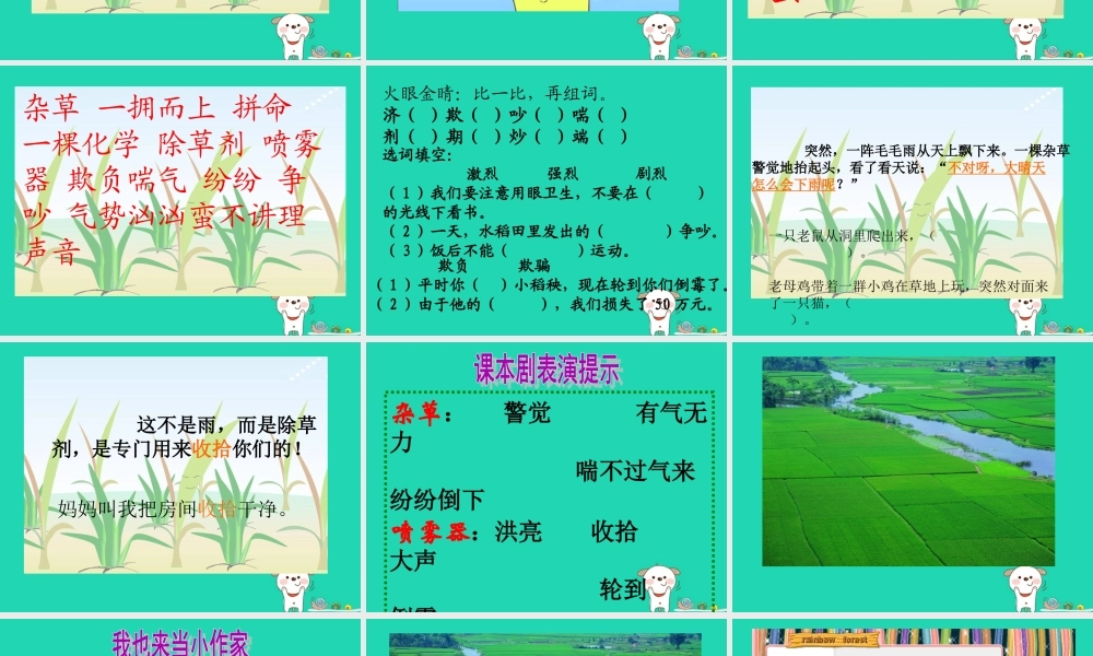 三年级语文上册 第六单元 18《小稻秧脱险记》课件 苏教版-苏教版小学三年级上册语文课件