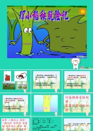 三年级语文上册 第六单元 18《小稻秧脱险记》课件 苏教版-苏教版小学三年级上册语文课件