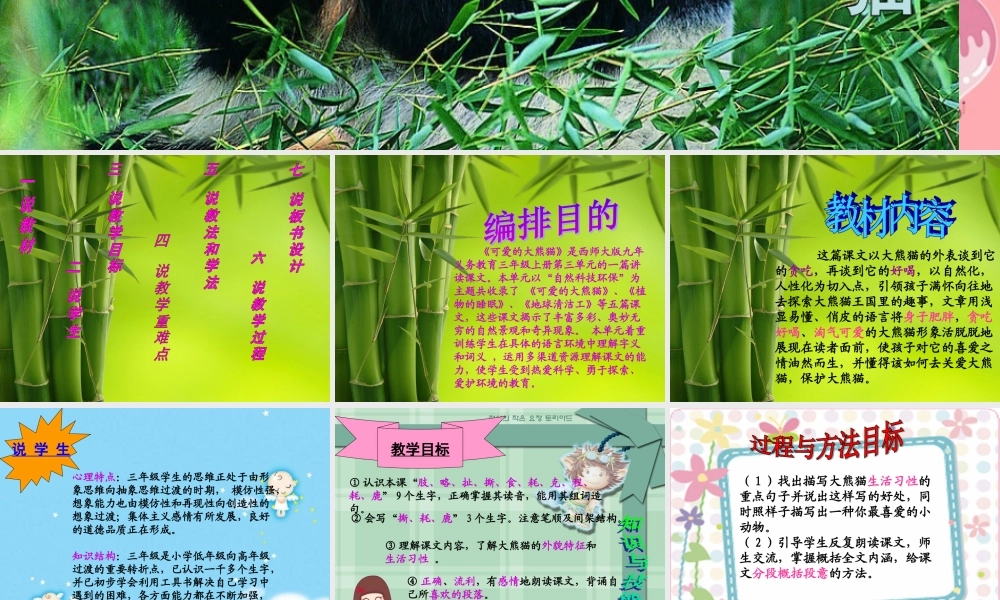 三年级语文上册 第三单元 可爱的大熊猫课件3 西师大版-西师大版小学三年级上册语文课件