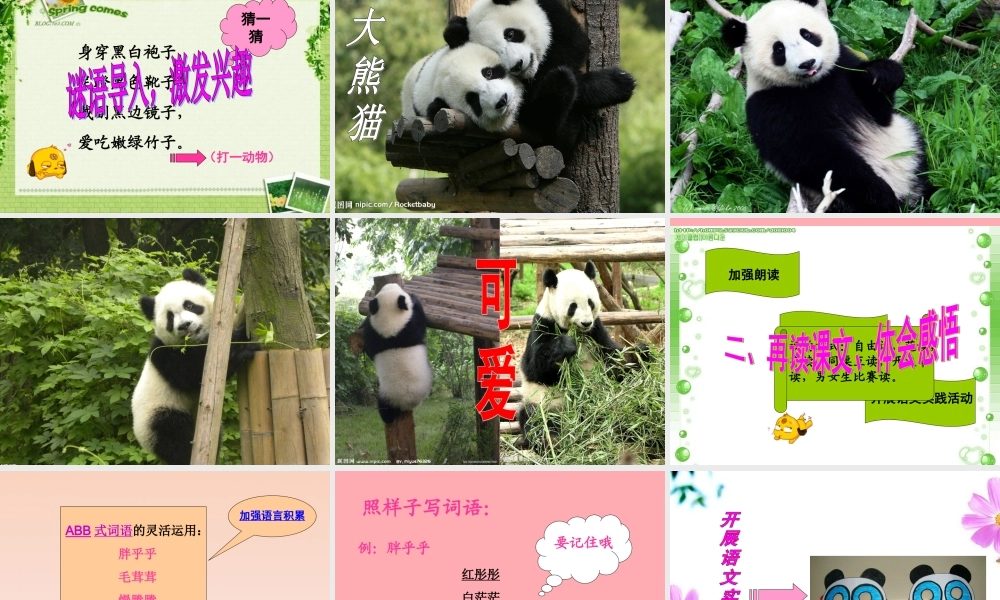 三年级语文上册 第三单元 可爱的大熊猫课件3 西师大版-西师大版小学三年级上册语文课件